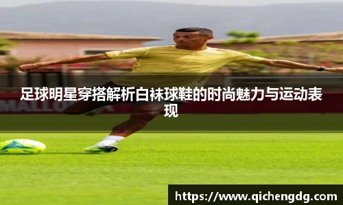 完美体育365平台官网