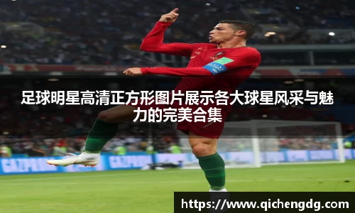 完美体育365平台官网